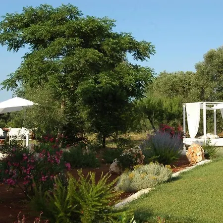 Ulivi Al Sole
