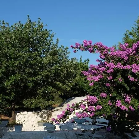 Villa Ulivi Al Sole *